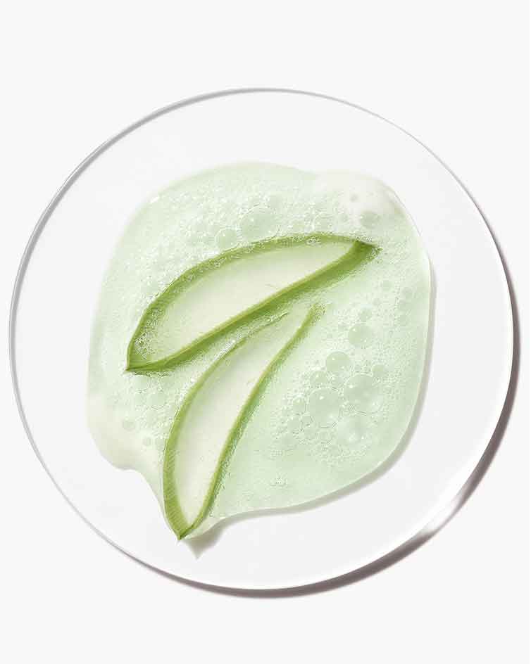 Belangrijk ingrediënt: aloë bio-ferment